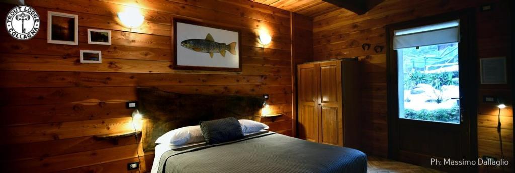 Guest house Trout Collagna